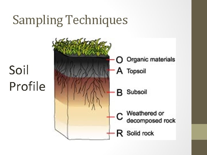 Sampling Techniques Soil Profile 