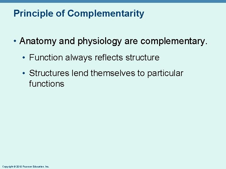 Principle of Complementarity • Anatomy and physiology are complementary. • Function always reflects structure