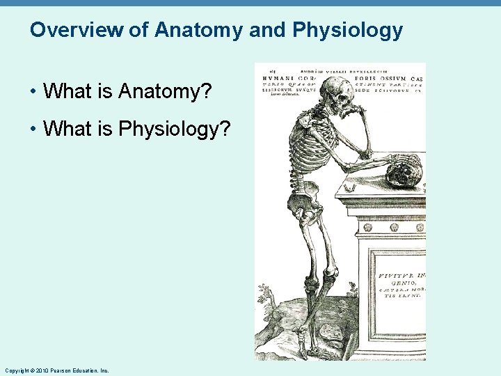 Overview of Anatomy and Physiology • What is Anatomy? • What is Physiology? Copyright