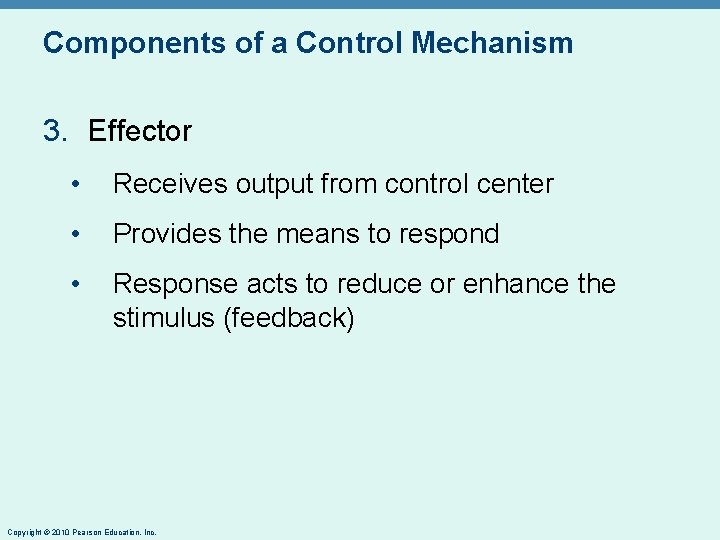 Components of a Control Mechanism 3. Effector • Receives output from control center •
