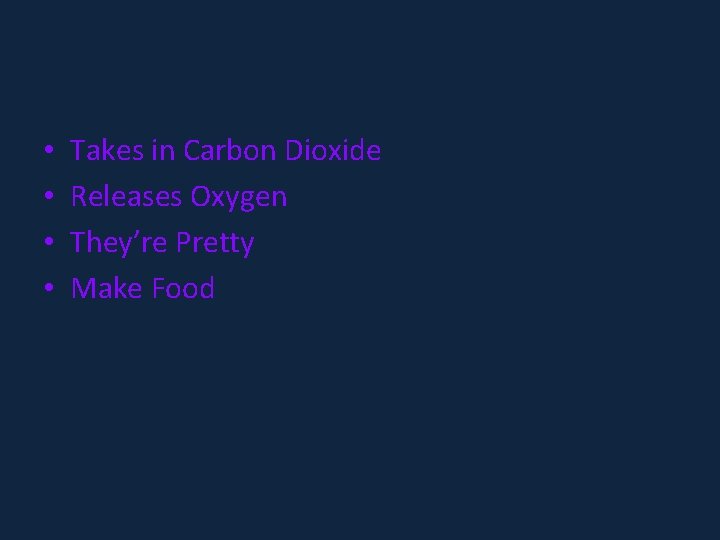  • • Takes in Carbon Dioxide Releases Oxygen They’re Pretty Make Food 