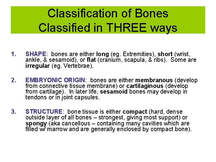 Classification of Bones Classified in THREE ways 1. SHAPE: bones are either long (eg.