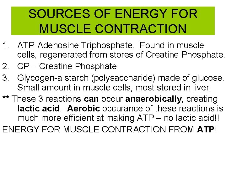 SOURCES OF ENERGY FOR MUSCLE CONTRACTION 1. ATP-Adenosine Triphosphate. Found in muscle cells, regenerated
