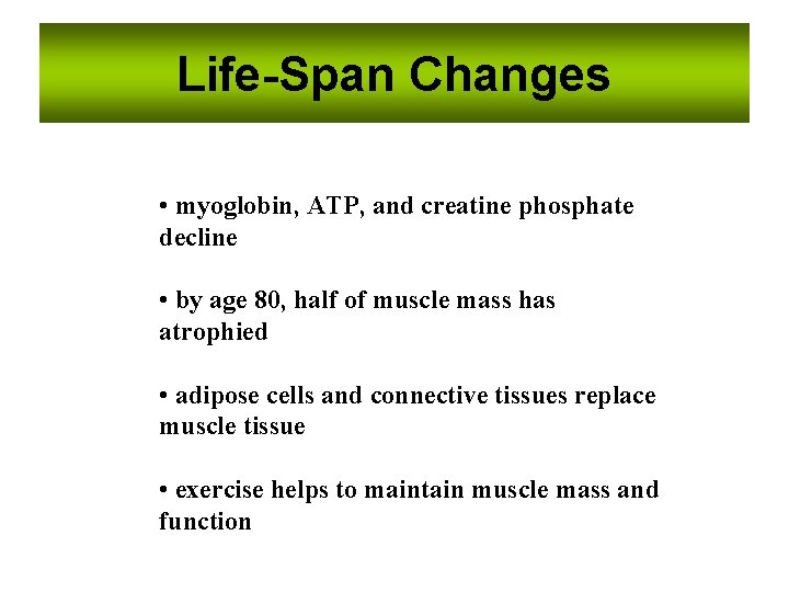 Life-Span Changes • myoglobin, ATP, and creatine phosphate decline • by age 80, half