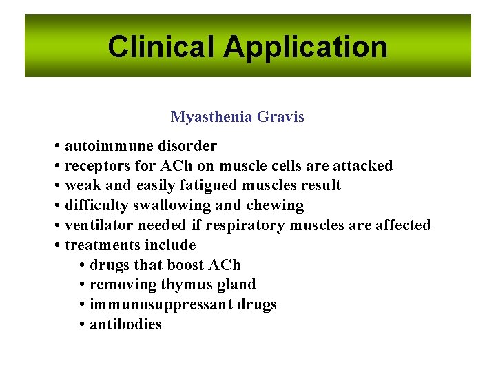 Clinical Application Myasthenia Gravis • autoimmune disorder • receptors for ACh on muscle cells