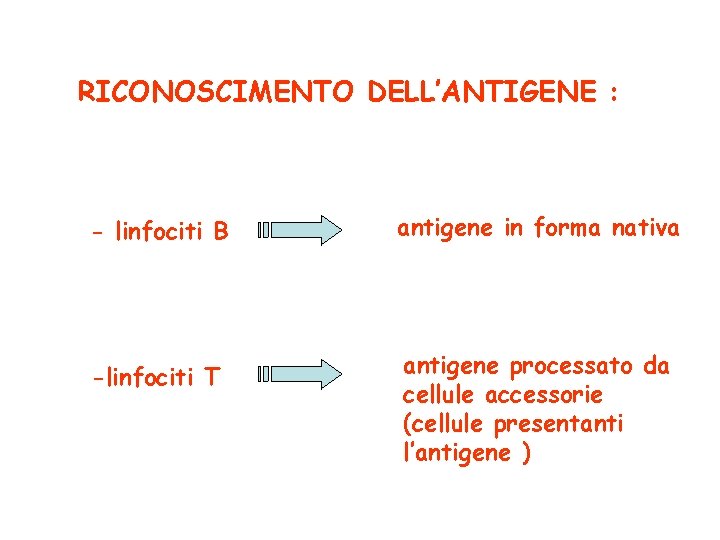 RICONOSCIMENTO DELL’ANTIGENE : - linfociti B -linfociti T antigene in forma nativa antigene processato