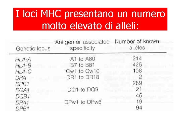 I NUMERO DI ALLELI HLA AD loci MHCALCUNI presentano un numero LOCI molto elevato