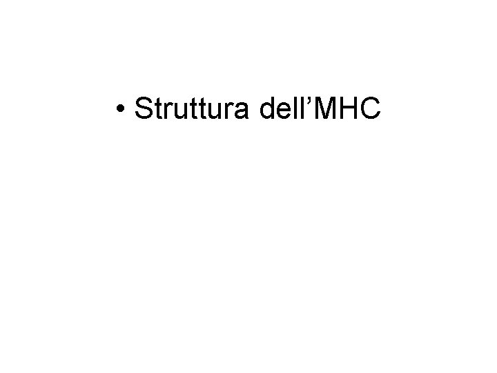  • Struttura dell’MHC 