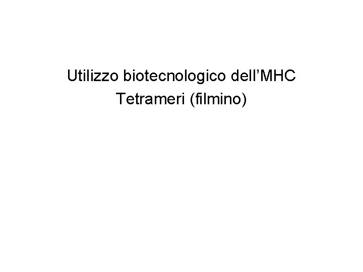 Utilizzo biotecnologico dell’MHC Tetrameri (filmino) 
