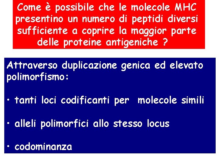 Come è possibile che le molecole MHC presentino un numero di peptidi diversi sufficiente