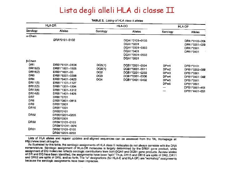 Lista degli alleli HLA di classe II 