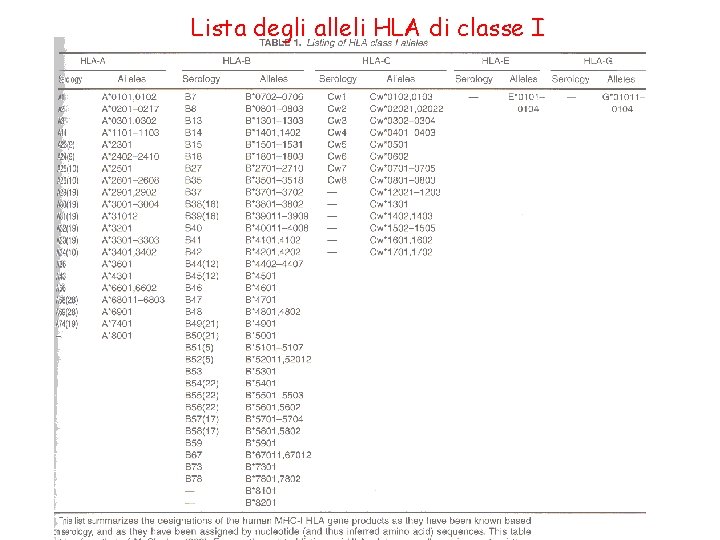 Lista degli alleli HLA di classe I 