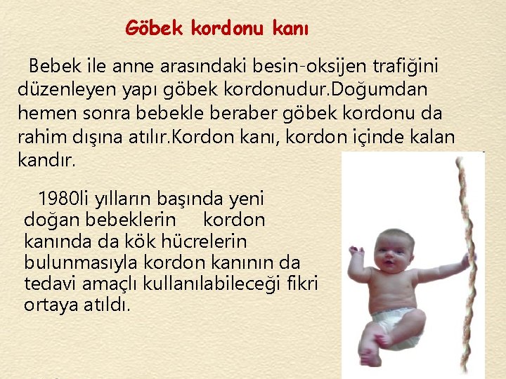 Göbek kordonu kanı Bebek ile anne arasındaki besin-oksijen trafiğini düzenleyen yapı göbek kordonudur. Doğumdan