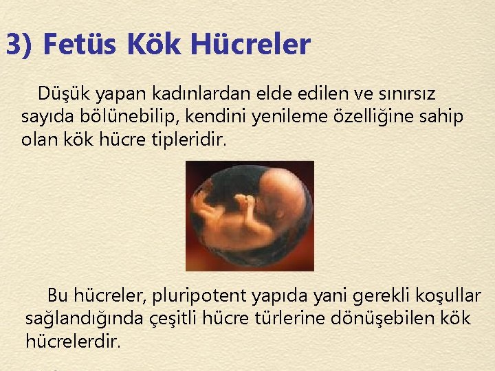 3) Fetüs Kök Hücreler Düşük yapan kadınlardan elde edilen ve sınırsız sayıda bölünebilip, kendini