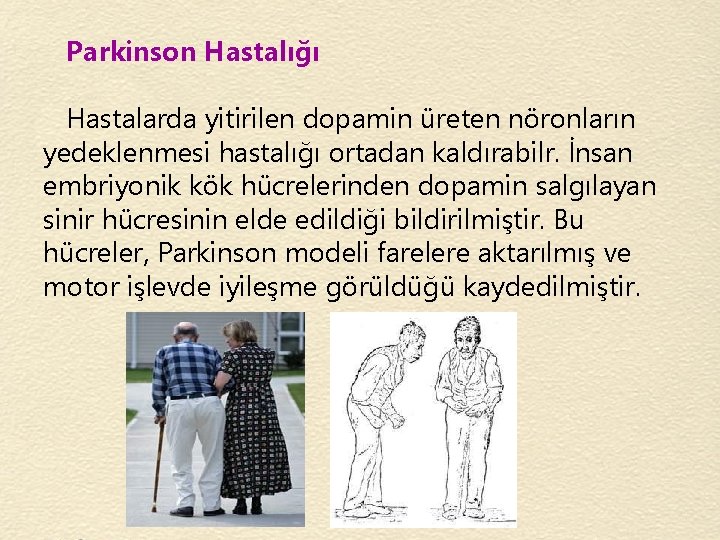 Parkinson Hastalığı Hastalarda yitirilen dopamin üreten nöronların yedeklenmesi hastalığı ortadan kaldırabilr. İnsan embriyonik kök