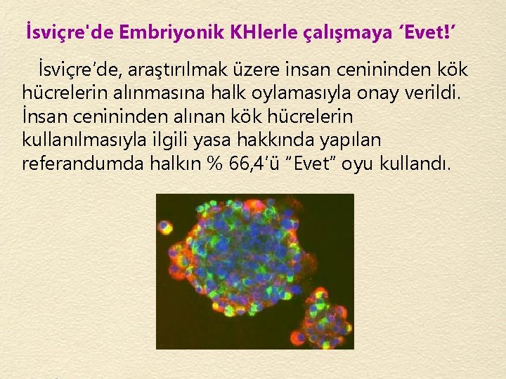 İsviçre'de Embriyonik KHlerle çalışmaya ‘Evet!’ İsviçre’de, araştırılmak üzere insan cenininden kök hücrelerin alınmasına halk