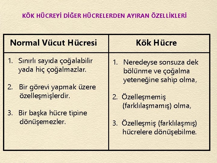 KÖK HÜCREYİ DİĞER HÜCRELERDEN AYIRAN ÖZELLİKLERİ Normal Vücut Hücresi 1. Sınırlı sayıda çoğalabilir yada