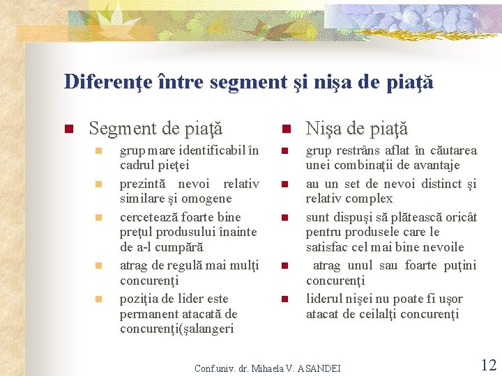 Diferenţe între segment şi nişa de piaţă n Segment de piaţă n n n