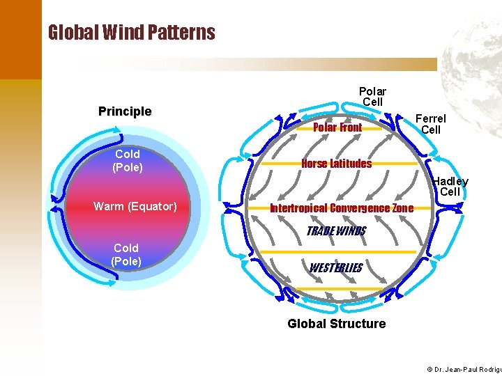Global Wind Patterns Principle Polar Cell Polar Front Cold (Pole) Ferrel Cell Horse Latitudes