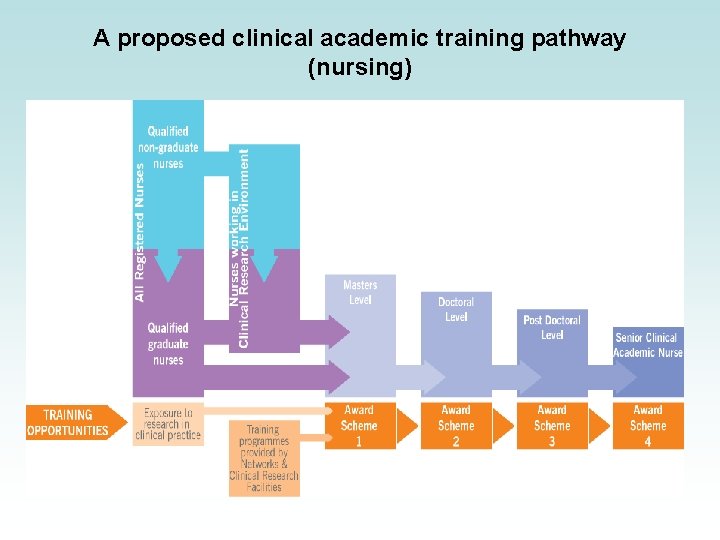A proposed clinical academic training pathway (nursing) 