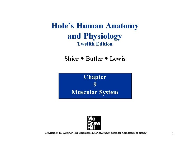 Hole’s Human Anatomy and Physiology Twelfth Edition Shier w Butler w Lewis Chapter 9