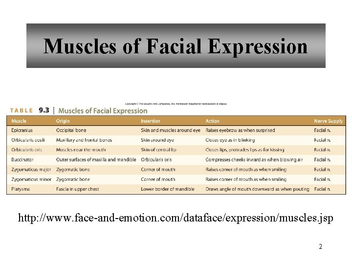 Muscles of Facial Expression http: //www. face-and-emotion. com/dataface/expression/muscles. jsp 2 