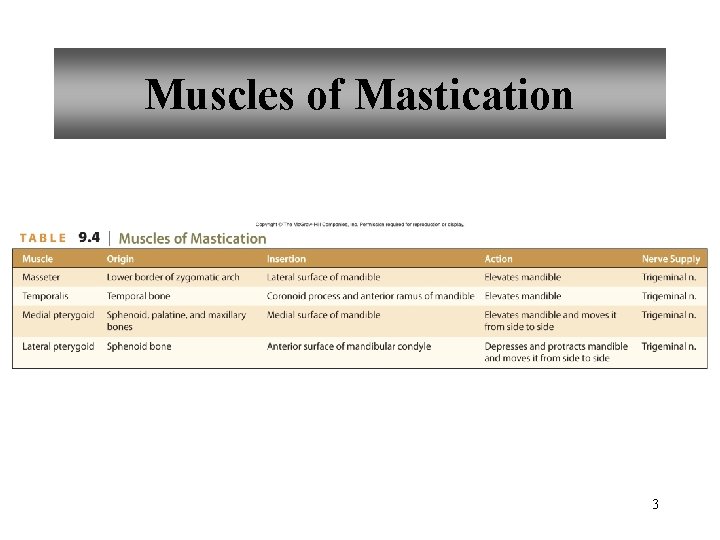 Muscles of Mastication 3 