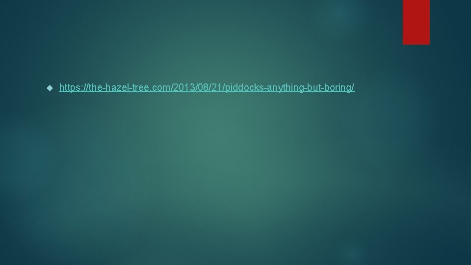  https: //the-hazel-tree. com/2013/08/21/piddocks-anything-but-boring/ 