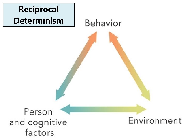 Reciprocal Determinism 