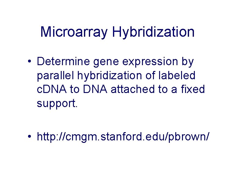 Microarray Hybridization • Determine gene expression by parallel hybridization of labeled c. DNA to