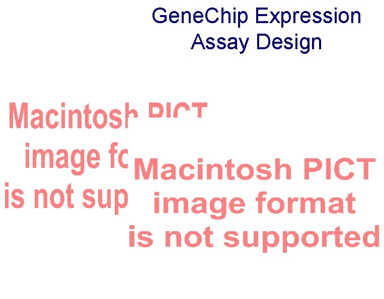 Gene. Chip Expression Assay Design 