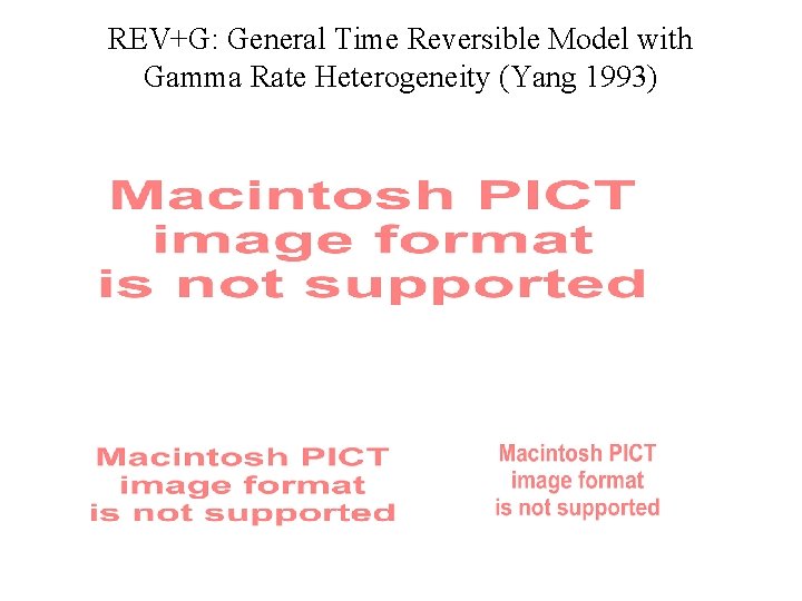 REV+G: General Time Reversible Model with Gamma Rate Heterogeneity (Yang 1993) 