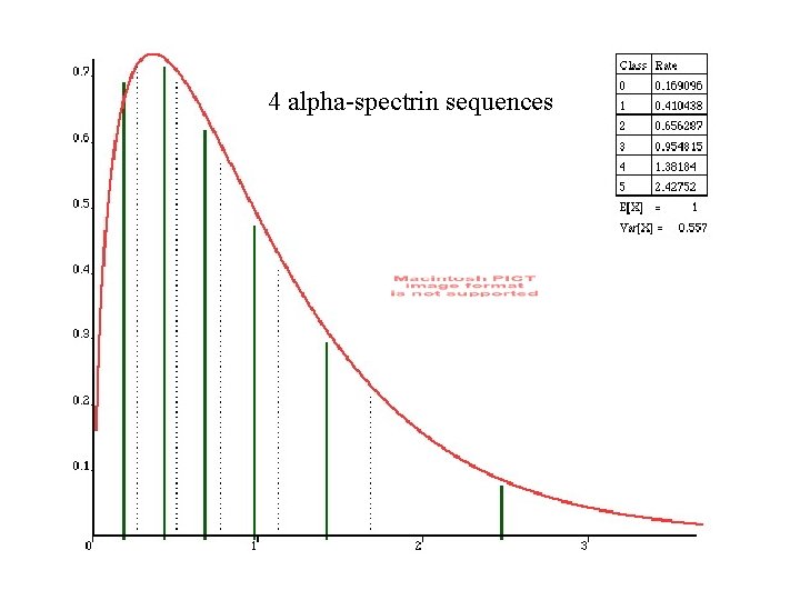 4 alpha-spectrin sequences 4 alpha-spectrin sequences