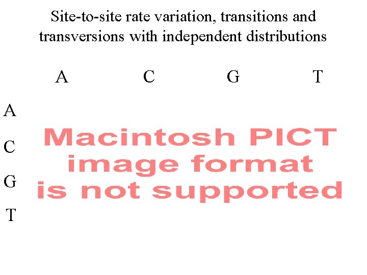 Site-to-site rate variation, transitions and transversions with independent distributions A A C G T