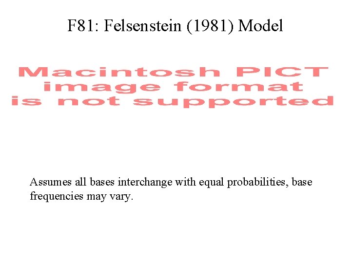 F 81: Felsenstein (1981) Model Assumes all bases interchange with equal probabilities, base frequencies