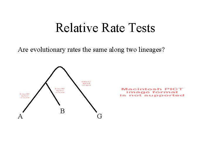 Relative Rate Tests Are evolutionary rates the same along two lineages? A B G