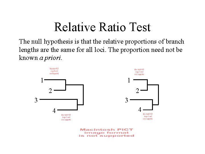 Relative Ratio Test The null hypothesis is that the relative proportions of branch lengths