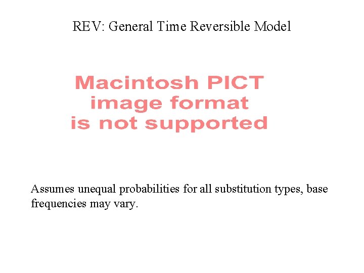 REV: General Time Reversible Model Assumes unequal probabilities for all substitution types, base frequencies