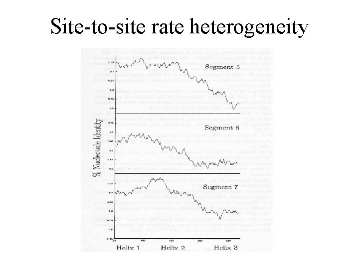 Site-to-site rate heterogeneity 