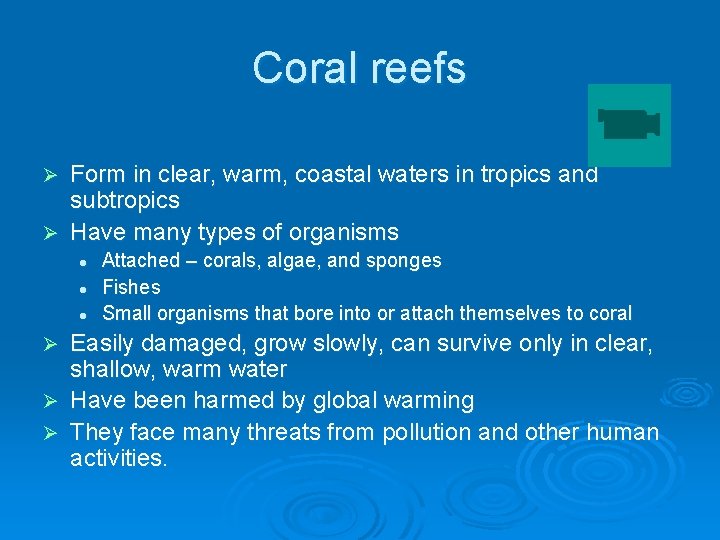 Coral reefs Form in clear, warm, coastal waters in tropics and subtropics Ø Have