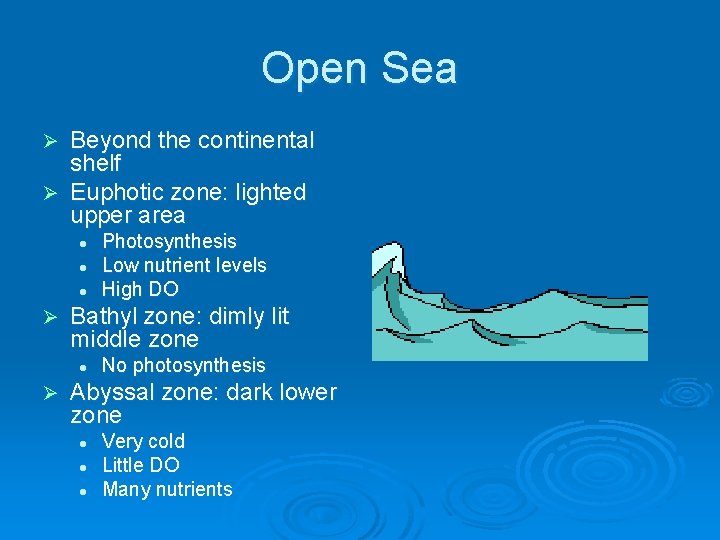 Open Sea Beyond the continental shelf Ø Euphotic zone: lighted upper area Ø l