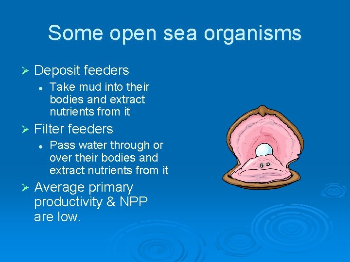 Some open sea organisms Ø Deposit feeders l Ø Filter feeders l Ø Take