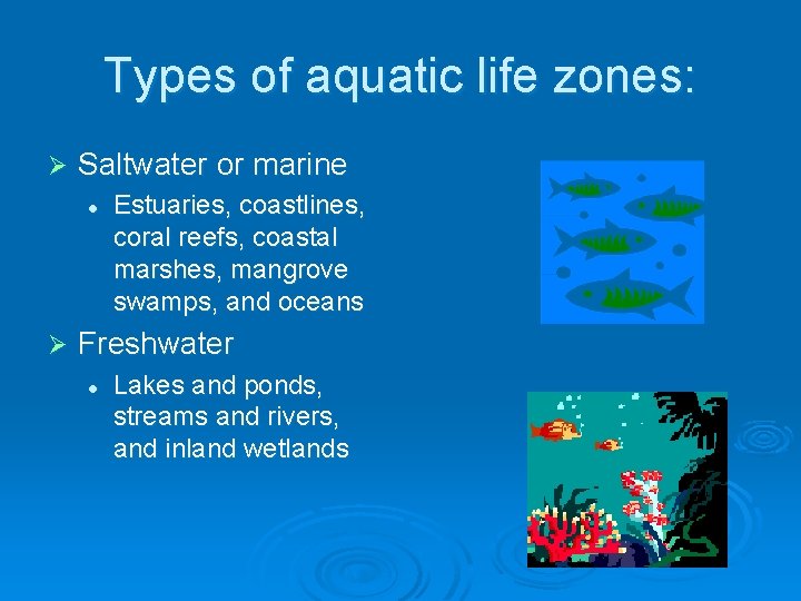 Types of aquatic life zones: Ø Saltwater or marine l Ø Estuaries, coastlines, coral