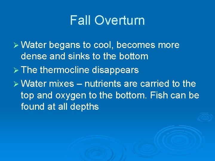 Fall Overturn Ø Water begans to cool, becomes more dense and sinks to the