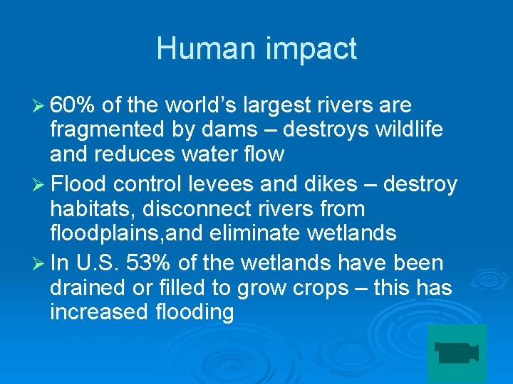 Human impact Ø 60% of the world’s largest rivers are fragmented by dams –