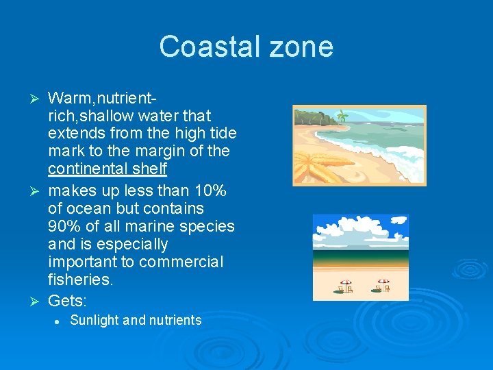 Coastal zone Warm, nutrientrich, shallow water that extends from the high tide mark to