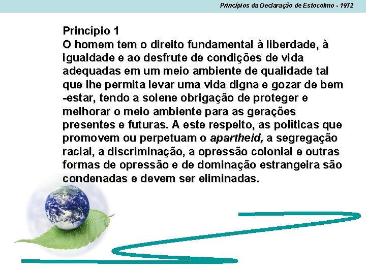 Princípios da Declaração de Estocolmo - 1972 Princípio 1 O homem tem o direito Princípios da Declaração de Estocolmo - 1972 Princípio 1 O homem tem o direito