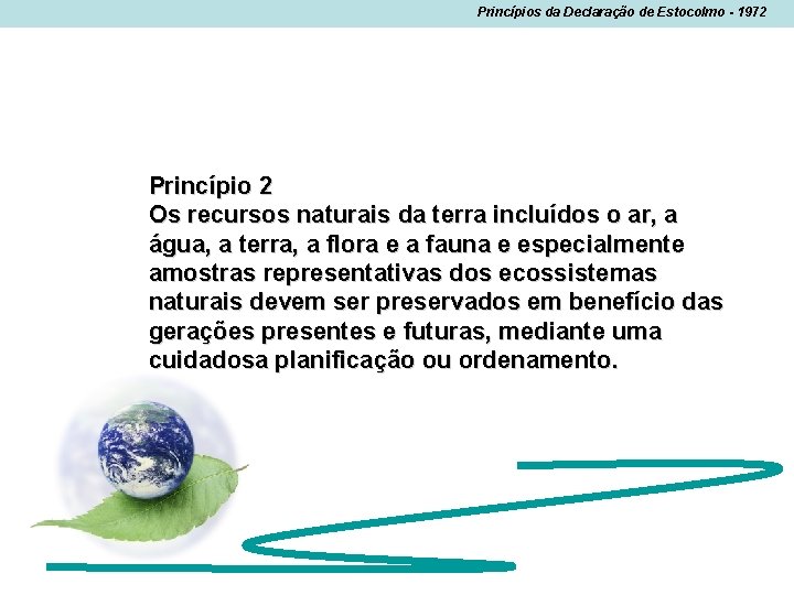 Princípios da Declaração de Estocolmo - 1972 Princípio 2 Os recursos naturais da terra