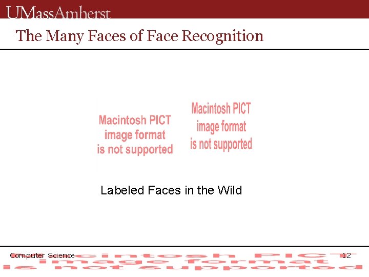 The Many Faces of Face Recognition Labeled Faces in the Wild Computer Science 12