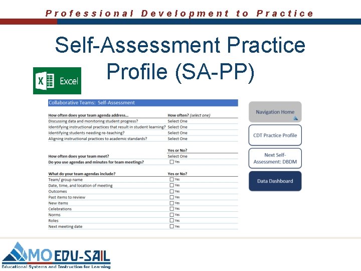 Professional Development to Practice Self-Assessment Practice Profile (SA-PP) Professional Development to Practice Self-Assessment Practice Profile (SA-PP)